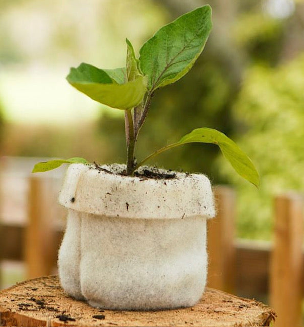 Sustaina Grow Bottle Sleeve