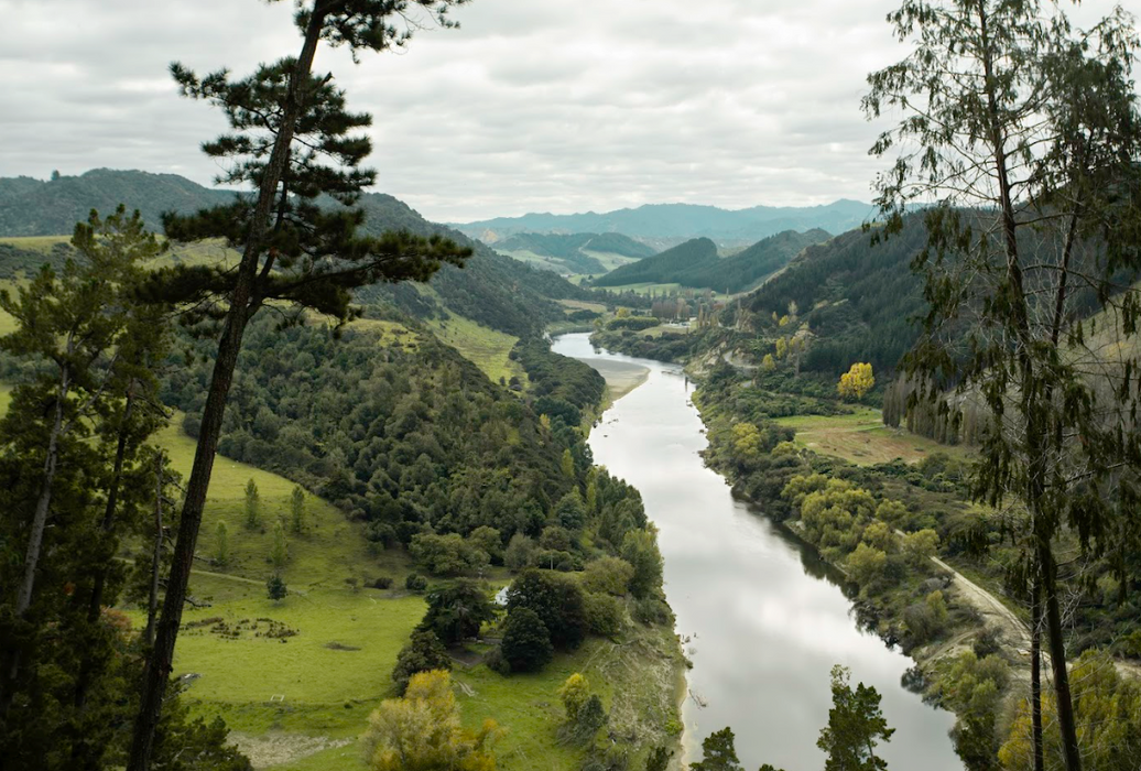 Whanganui River landscape in New Zealand, whose natural beauty and pure water inspire the flavour and story of Papaiti Gin